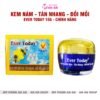 Kem nám Tàn nhang Đồi mồi Ever Today